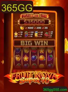Explorando o Mundo de FruitNovaSuper40: Regras e Funcionalidades Atuais